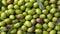 Olives Tin 4 kilo نصية زيتون