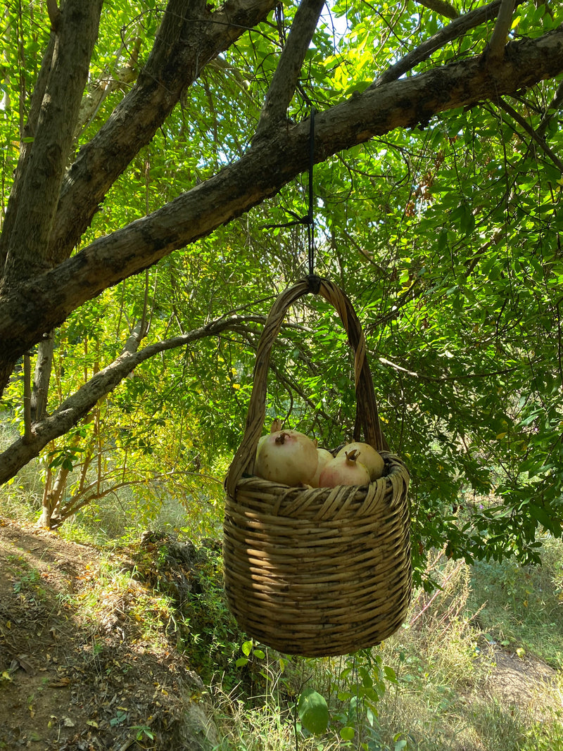 Pomegranate Molasis دبس رمان ٥٠٠ غرام