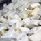 Boiled Sheep Cheese Tin 4 kilo نصية جبنة نابلسية